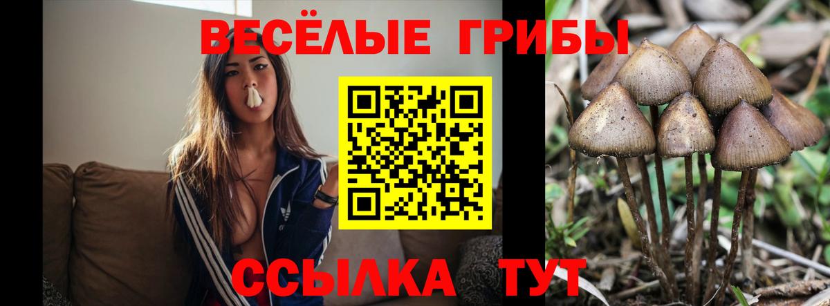 Псилоцибиновые грибы мухоморы  Вход с VPN  Минеральные Воды 